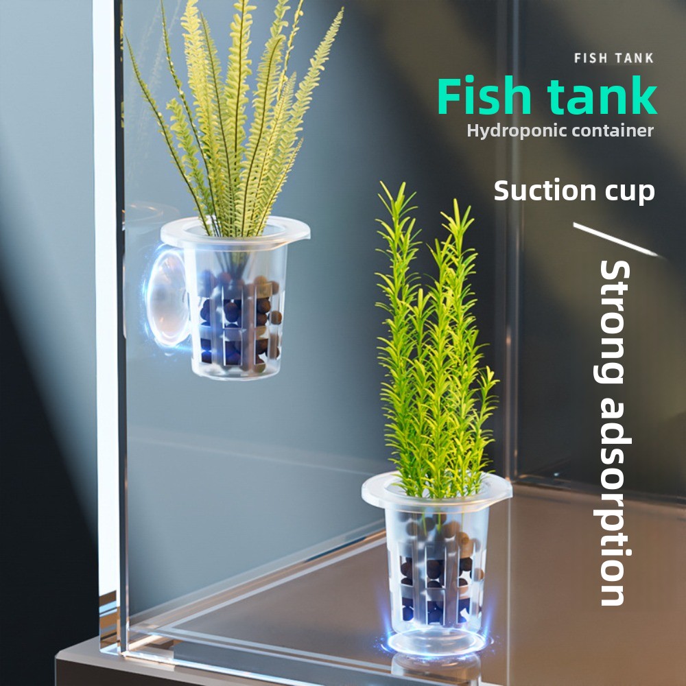 Aquarium Plant Grass - 10Pcs Transparent Plant Hydroponic Pot Plastic