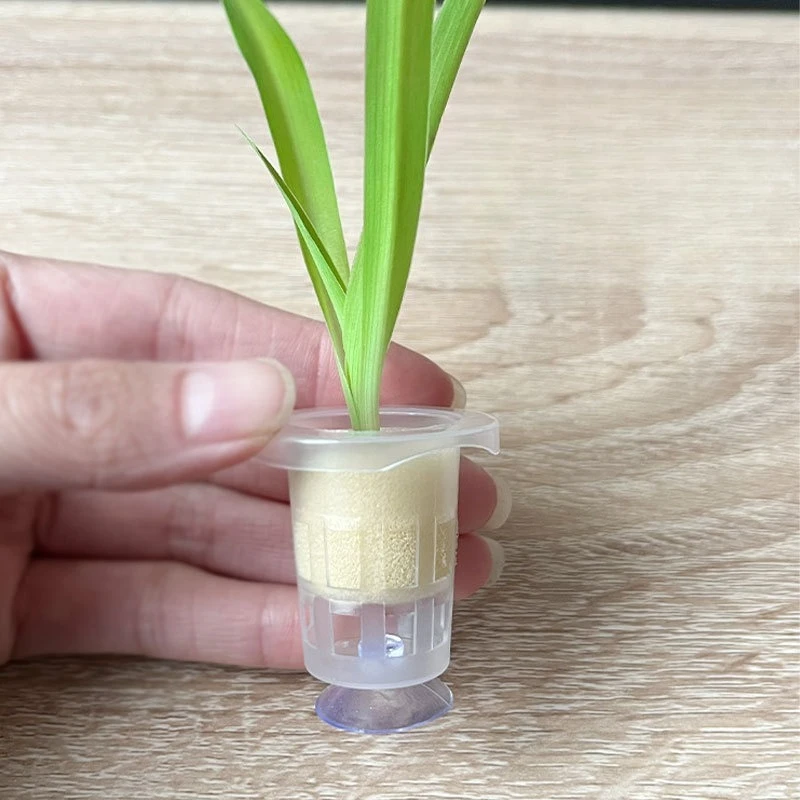 Aquarium Plant Grass - 50pcs/10pcs Aquarium Planting Basket Aquatic Plant