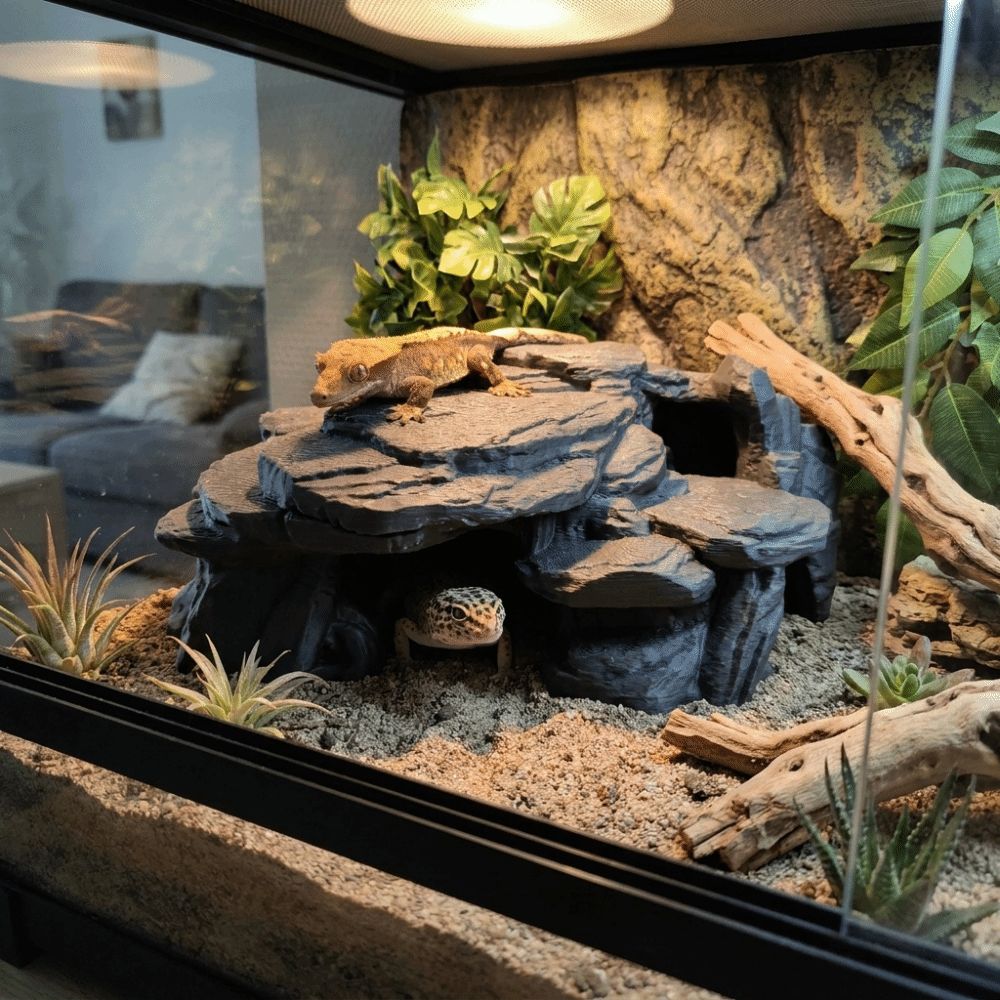 3D Printing Fish Tank Rockery  - Aquarium Plant Root Tabs 评论和价格