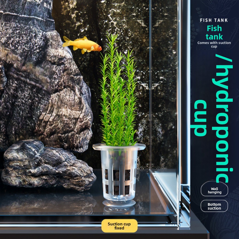 10Pcs Transparent Plant Hydrop - Aquarium Plant Grass 评论和价格