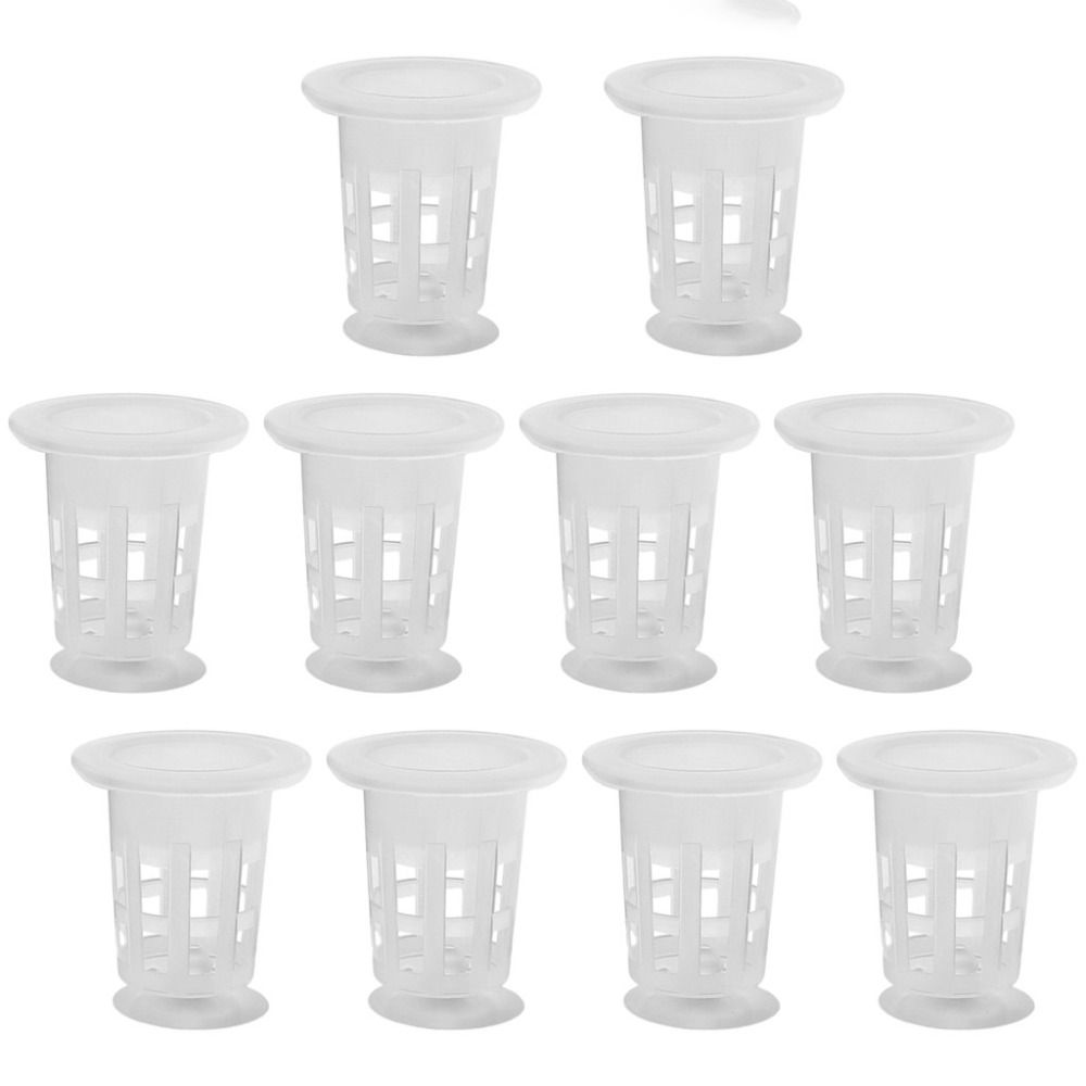 10Pcs Transparent Plant Hydrop - Aquarium Plant Grass 评论和价格