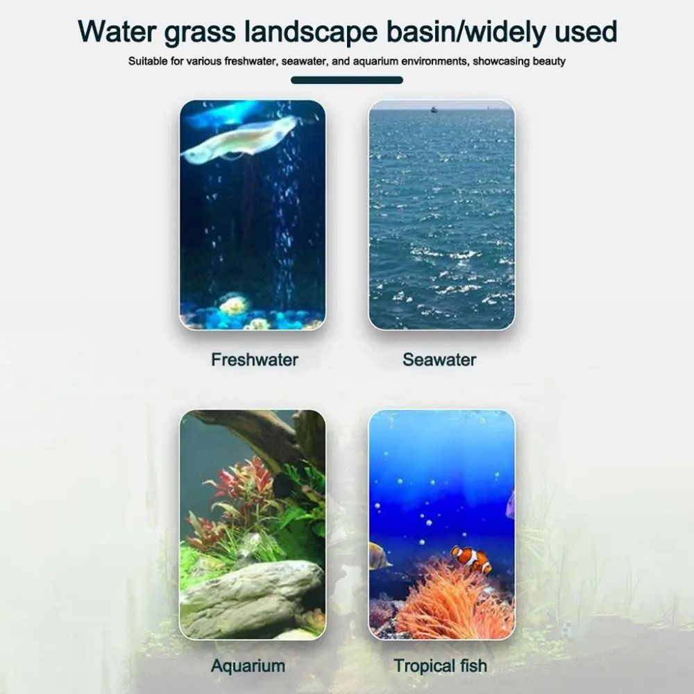 10Pcs Transparent Plant Hydrop - Aquarium Plant Grass 评论和价格