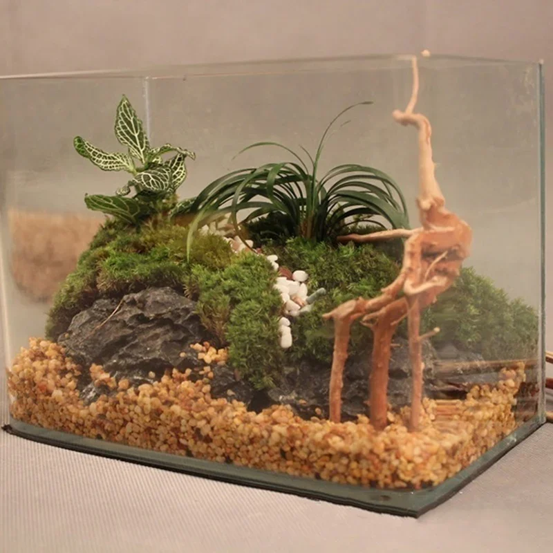Natural Tree Trunk Driftwood A - Aquarium Plant Root Tabs 评论和价格