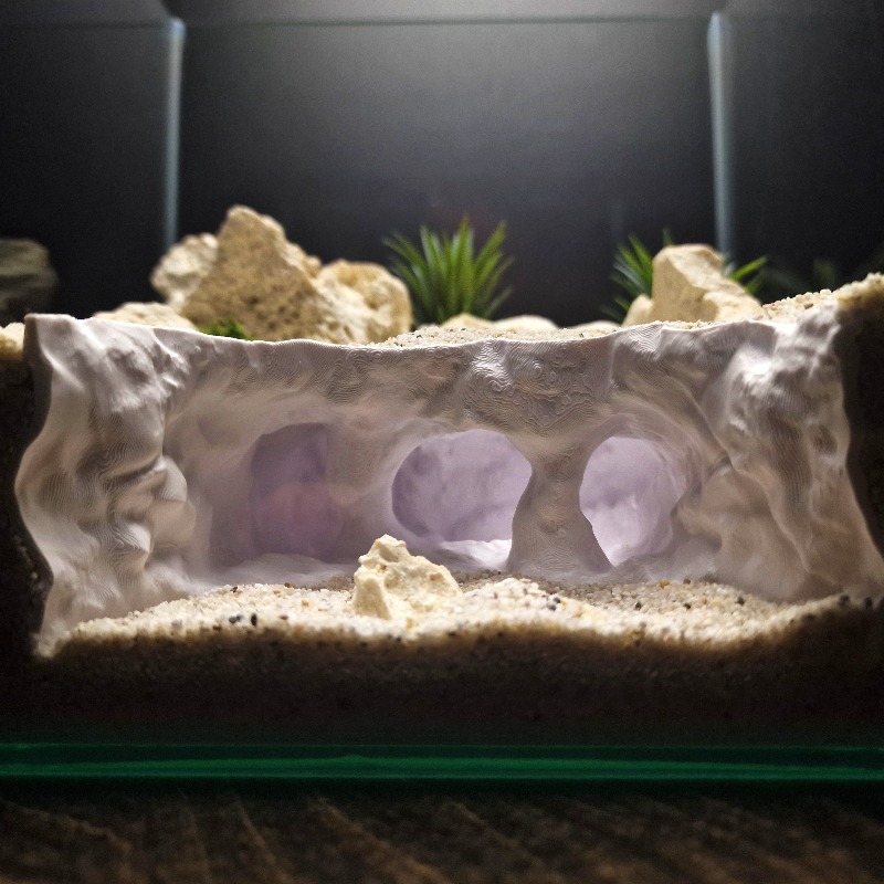 3D Printed Forked Cave Aquariu - Aquarium Plant Root Tabs 评论和价格