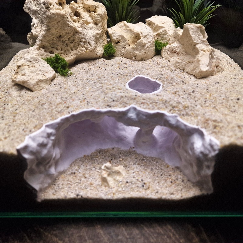 3D Printed Forked Cave Aquariu - Aquarium Plant Root Tabs 评论和价格