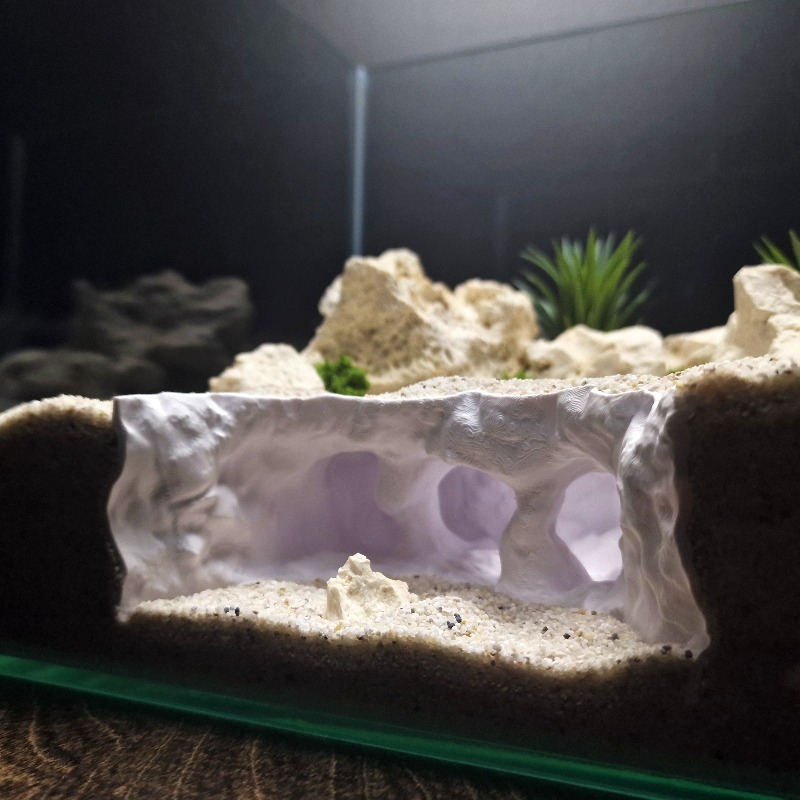 3D Printed Forked Cave Aquariu - Aquarium Plant Root Tabs 评论和价格