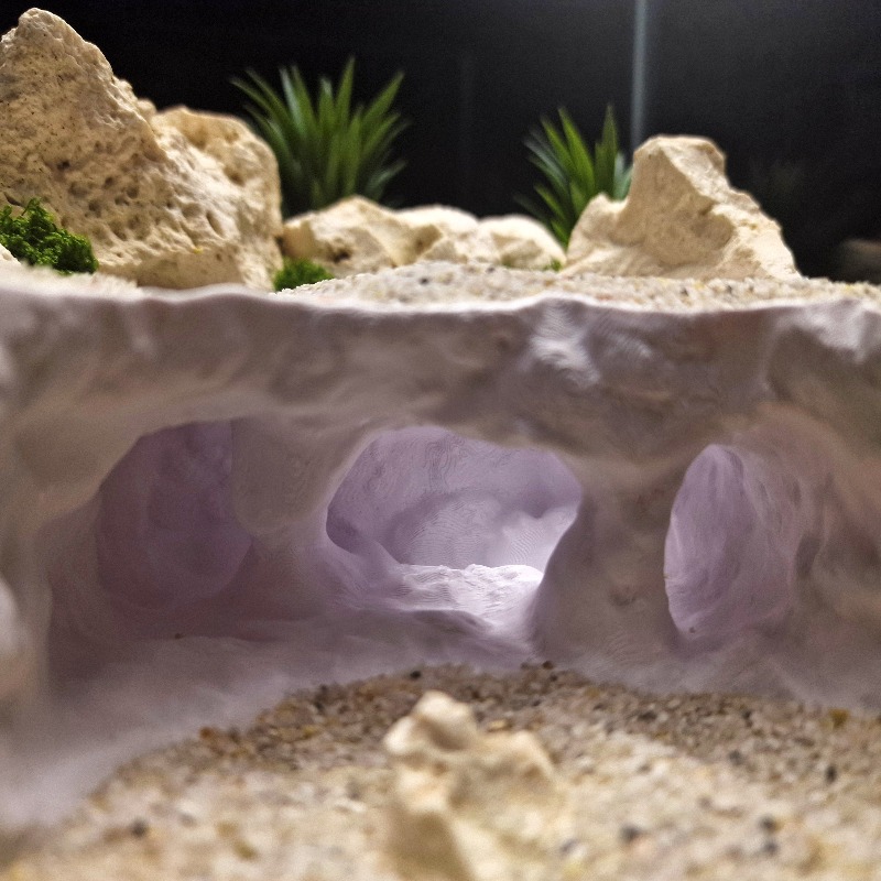 3D Printed Forked Cave Aquariu - Aquarium Plant Root Tabs 评论和价格