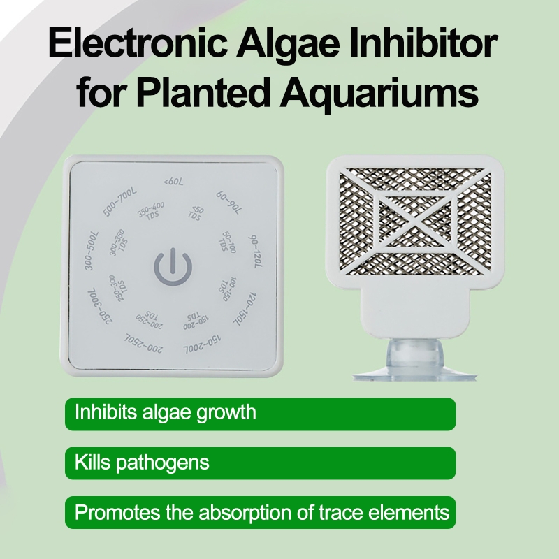 Electronic Aquarium Fish Tank  - Planted Aquarium Algae 评论和价格