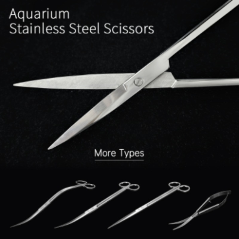 Week Aqua Stainless Steel Aqua - Planted Aquarium Equipment 评论和价格