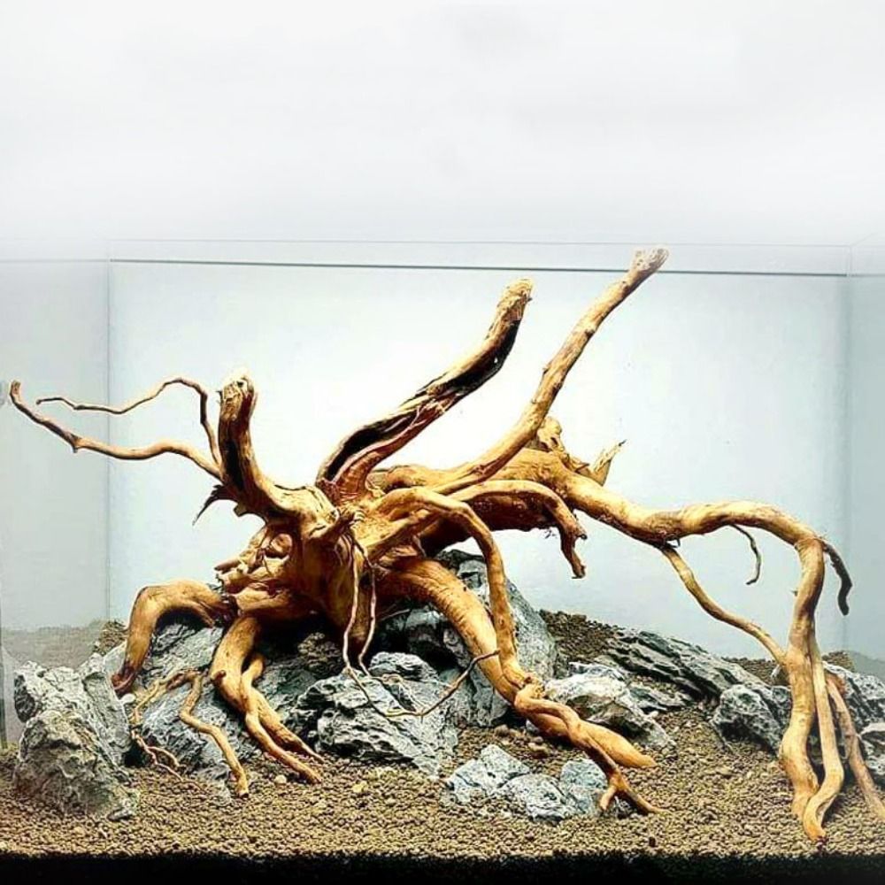 Natural Tree Trunk Aquarium De - Aquarium Plant Root Tabs 评论和价格