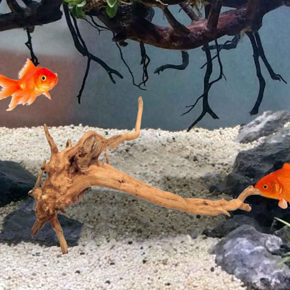 Natural Tree Trunk Aquarium De - Aquarium Plant Root Tabs 评论和价格