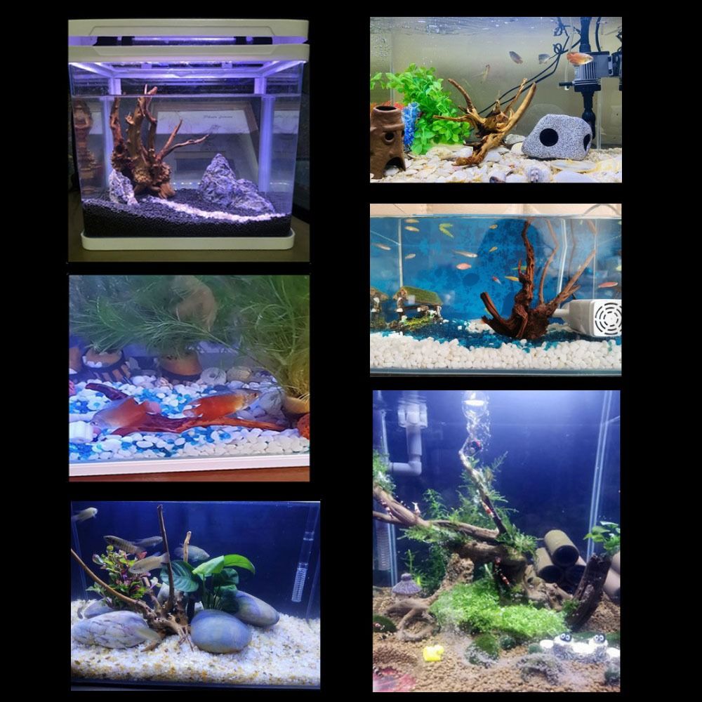 Natural Tree Trunk Aquarium De - Aquarium Plant Root Tabs 评论和价格
