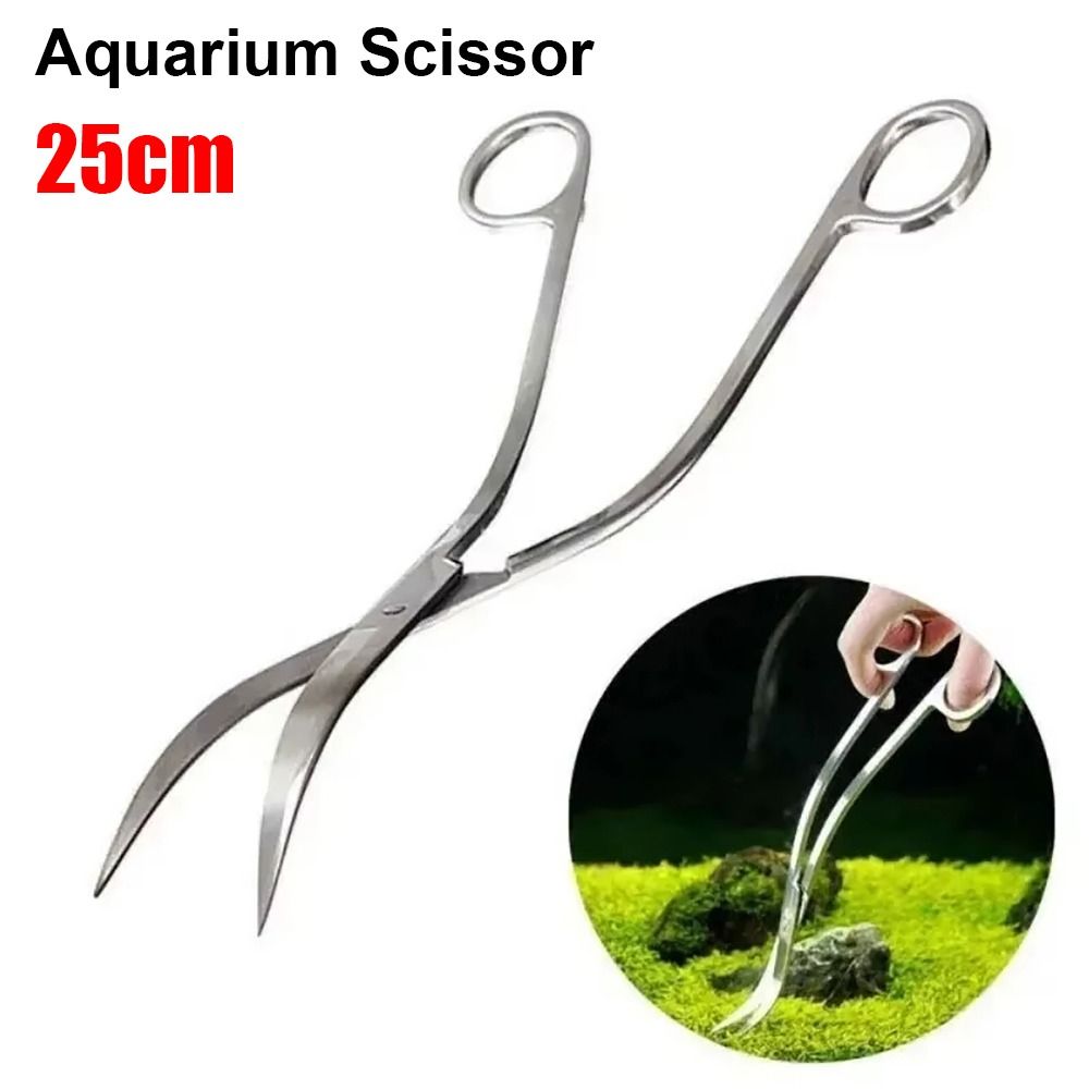 1Pcs Stainless Steel Aquarium  - Aquarium Plant Grass 评论和价格