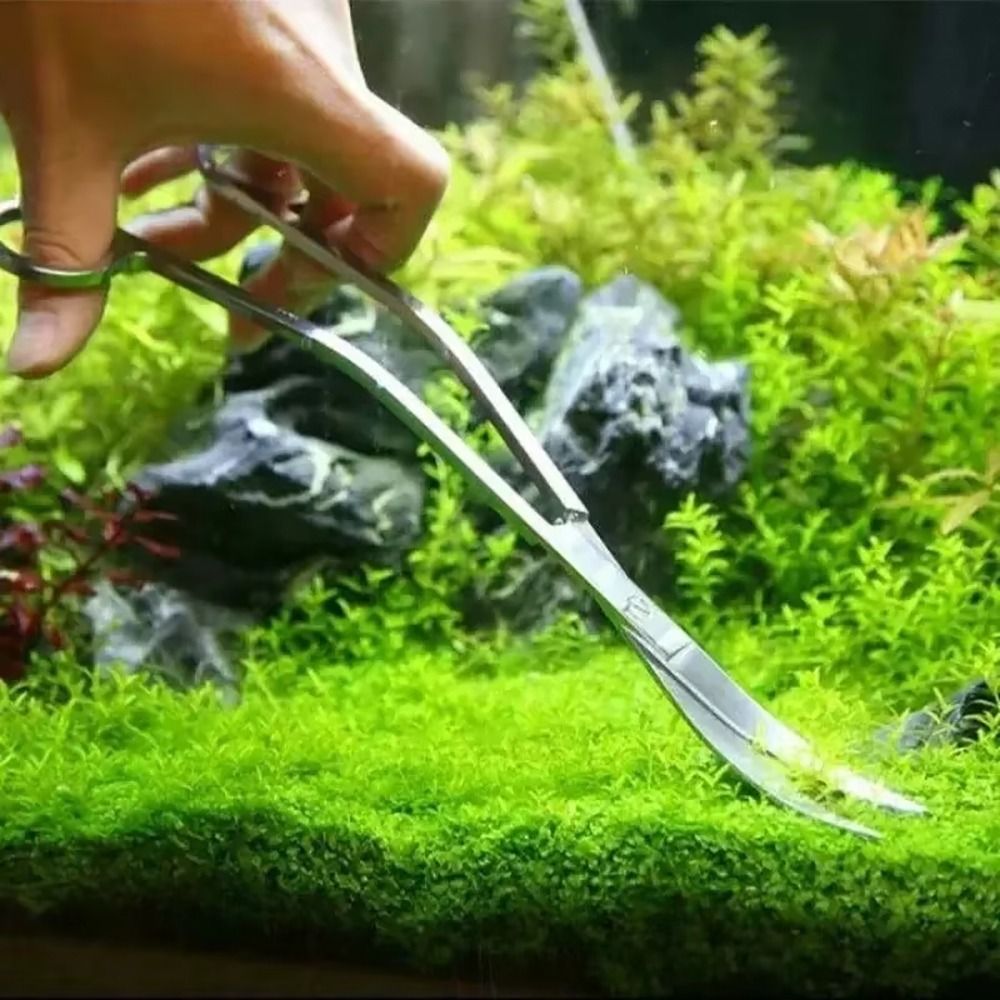 1Pcs Stainless Steel Aquarium  - Aquarium Plant Grass 评论和价格