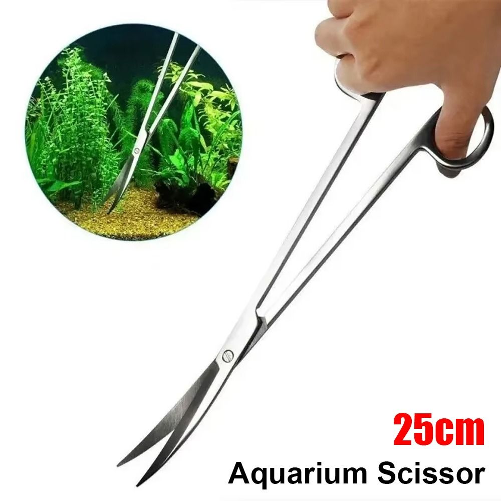 1Pcs Stainless Steel Aquarium  - Aquarium Plant Grass 评论和价格