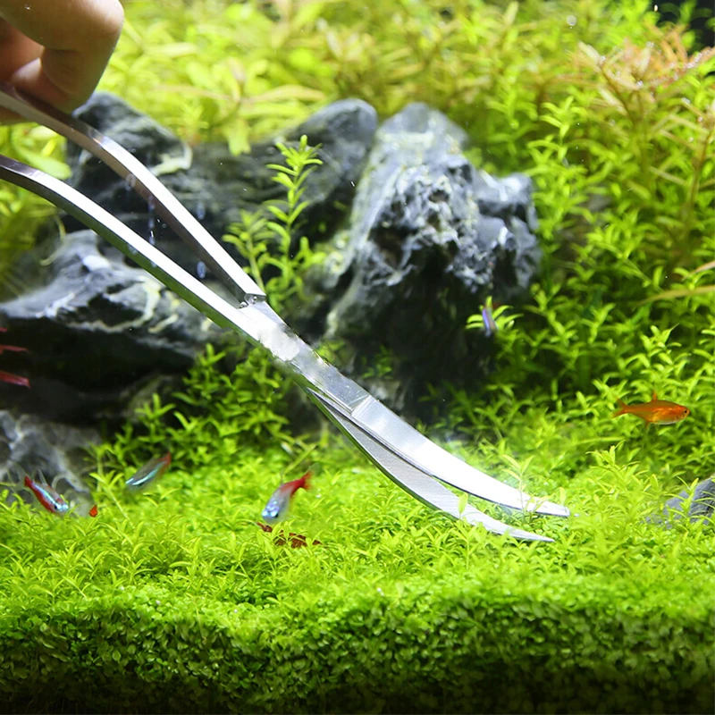 Aquarium Scissor Tools Fish Ta - Aquarium Plant Grass 评论和价格