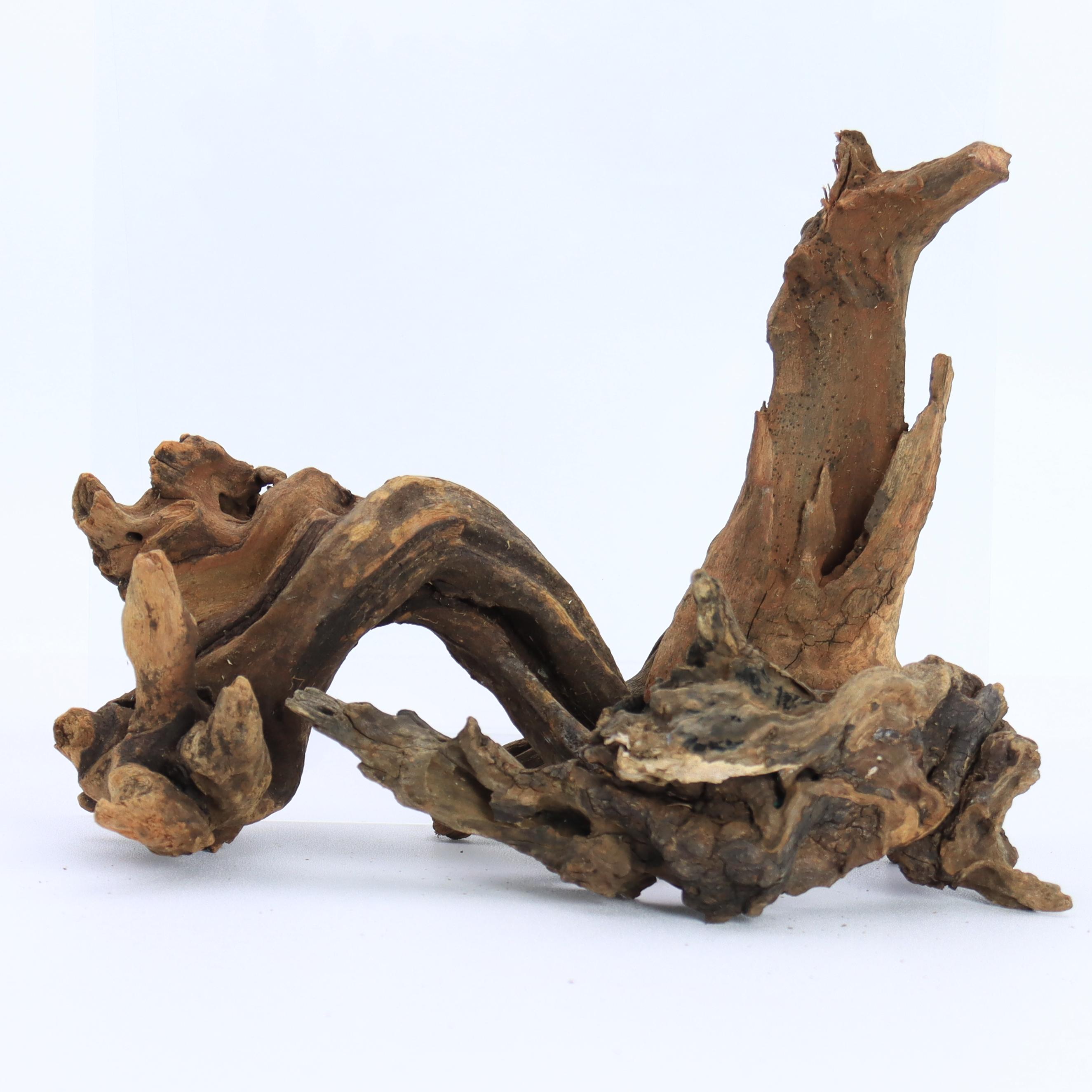 1pc Small Natural Driftwood fo - Aquarium Plant Root Tabs 评论和价格