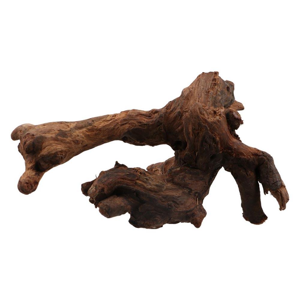 Creative Irregular Shape Coral - Aquarium Plant Root Tabs 评论和价格