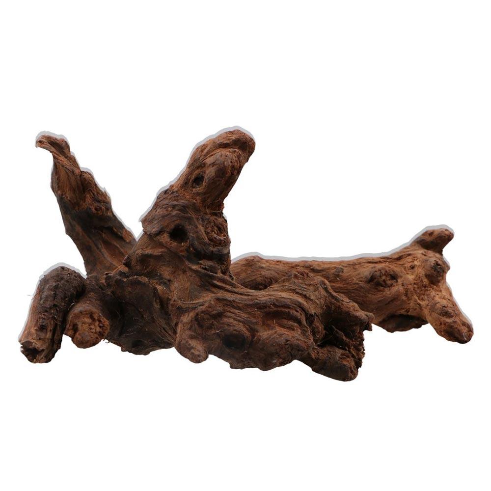 Creative Irregular Shape Coral - Aquarium Plant Root Tabs 评论和价格