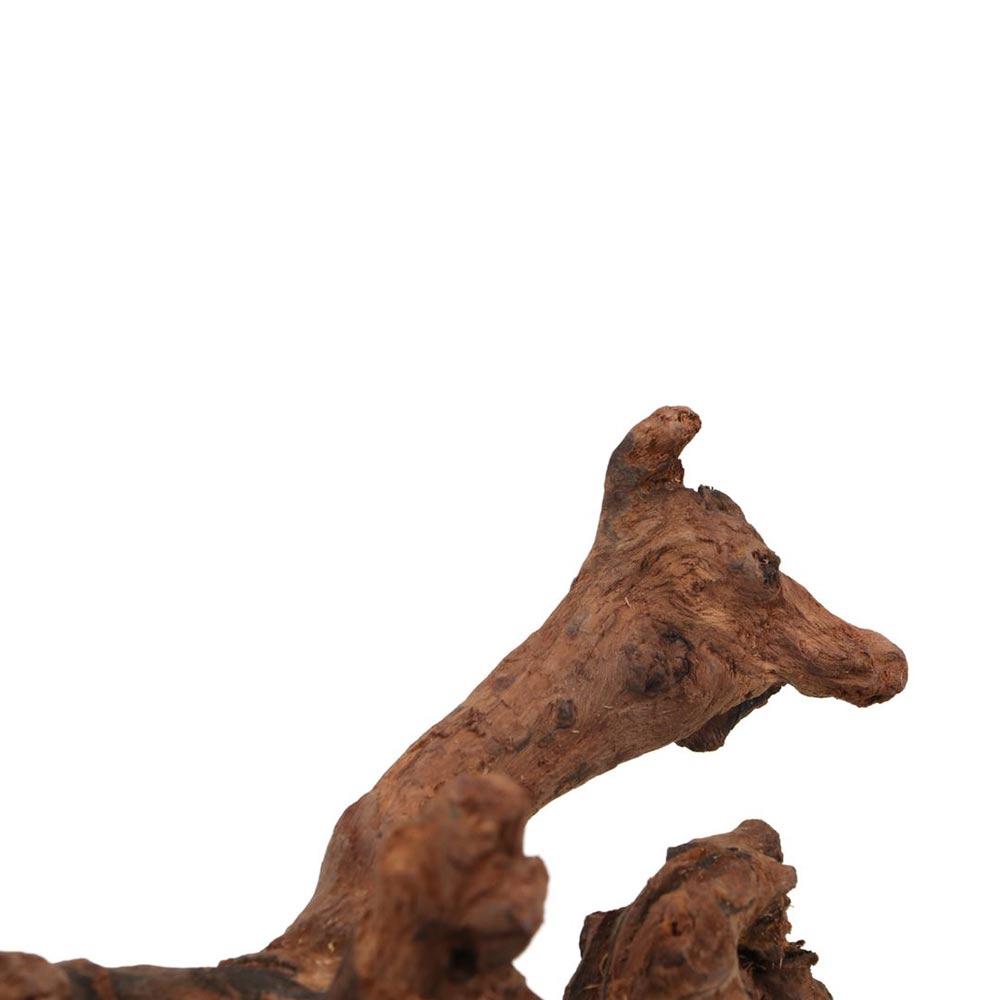 Creative Irregular Shape Coral - Aquarium Plant Root Tabs 评论和价格
