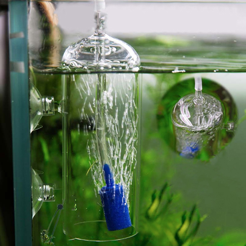 5Pcs Aquarium Cylinder Shape A - Aquarium Lily Pipe 评论和价格