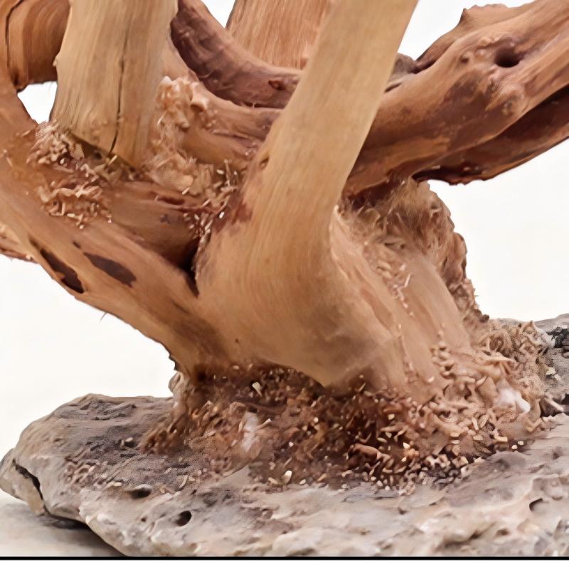 1PC Aquarium Landscaping Wood  - Aquarium Plant Root Tabs 评论和价格