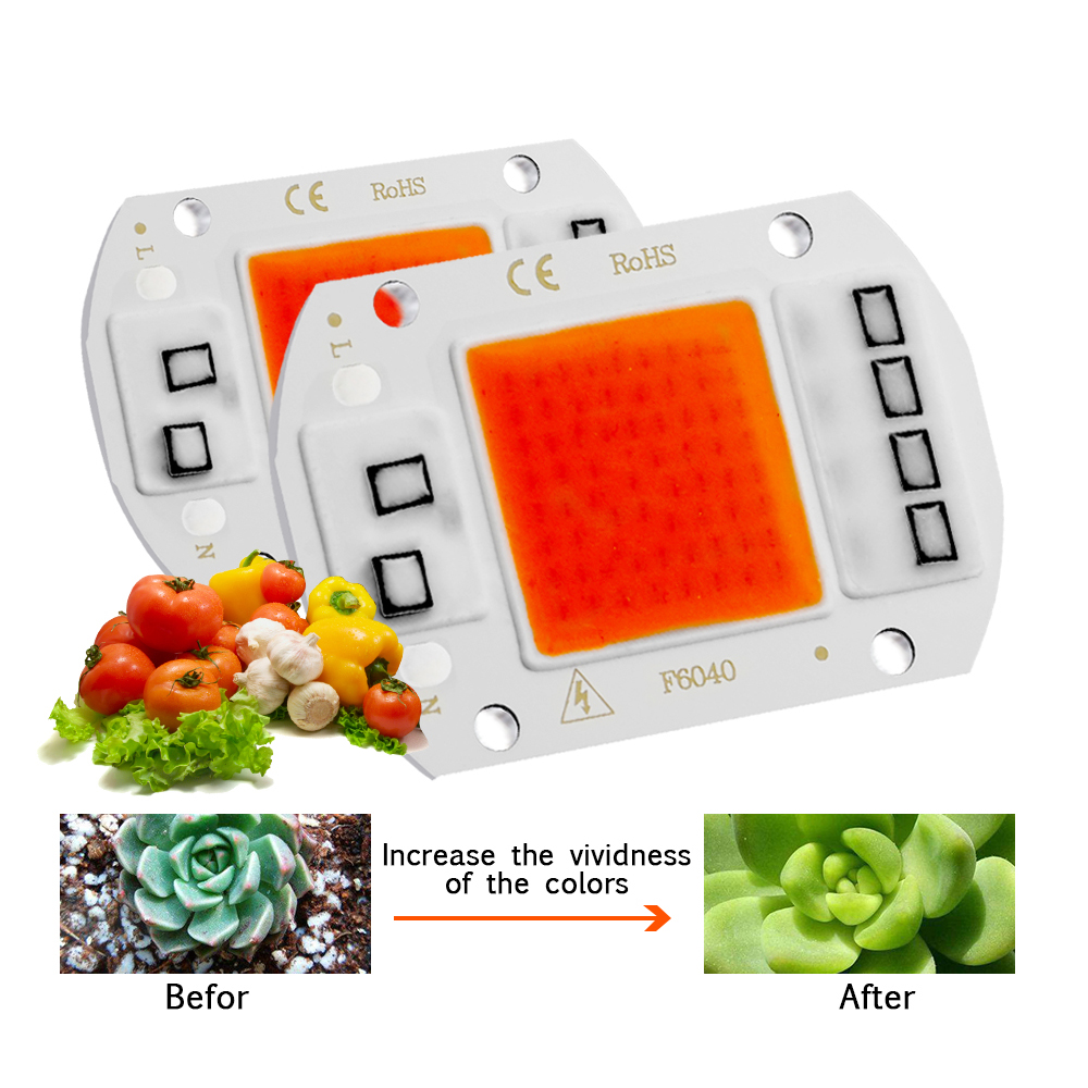 LED Grow Light Full Spectrum C - Aquarium Plant Root Tabs 评论和价格