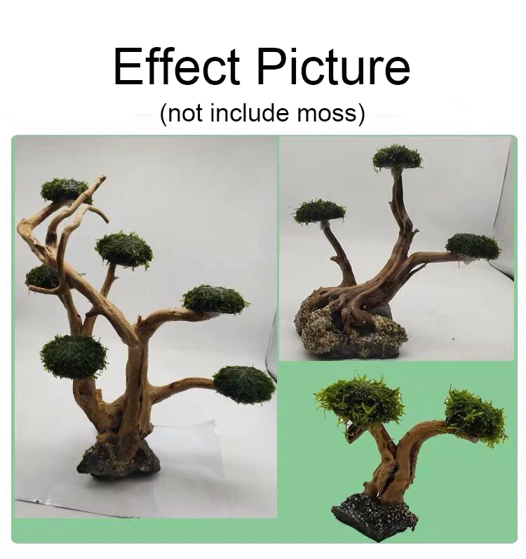 Aquarium Driftwood Landscaping - Aquarium Plant Root Tabs 评论和价格