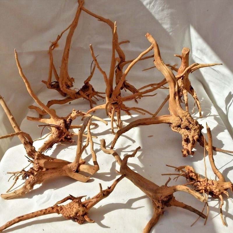 1PC Driftwood for Aquarium,Nat - Aquarium Plant Root Tabs 评论和价格