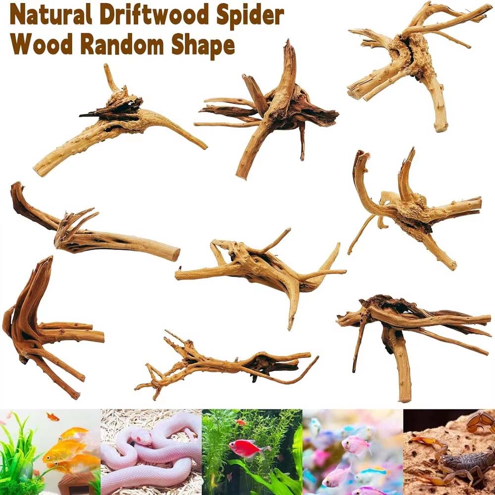1PC Driftwood for Aquarium,Nat - Aquarium Plant Root Tabs 评论和价格