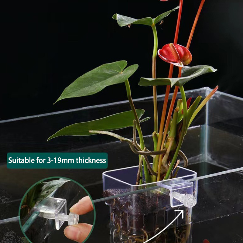 Multifunctional Fish Aquarium  - Aquarium Plant Grass 评论和价格