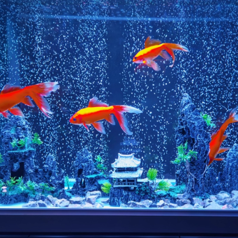 Aquarium Decor Stone Rockery C - Aquarium Plant Root Tabs 评论和价格
