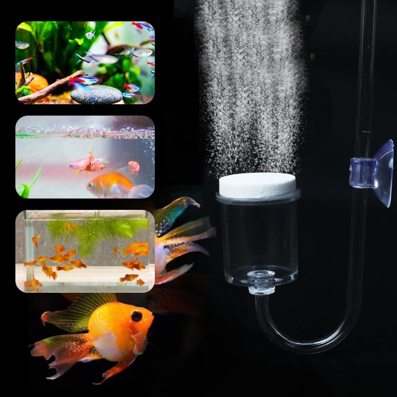 4pcs Set DIY CO2 Diffuser For  - Aquarium Plant Grass 评论和价格