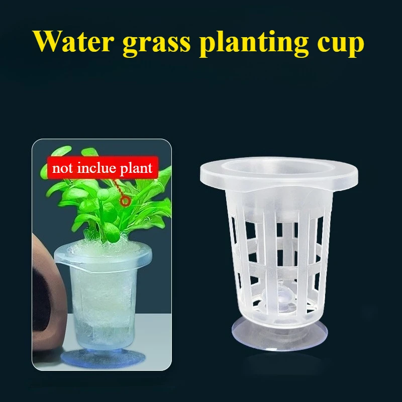 50pcs/10pcs Aquarium Planting  - Aquarium Plant Grass 评论和价格