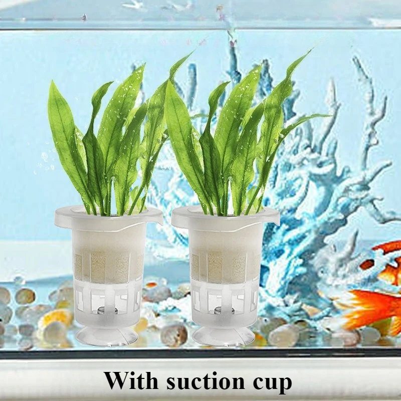 50pcs/10pcs Aquarium Planting  - Aquarium Plant Grass 评论和价格